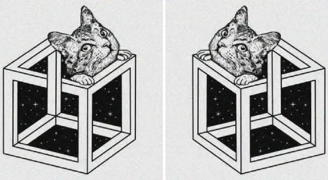 Lo que veas primero te revelará cómo eres cuando estás estresado. Lo que veas primero te revelará cómo eres cuando estás estresado.