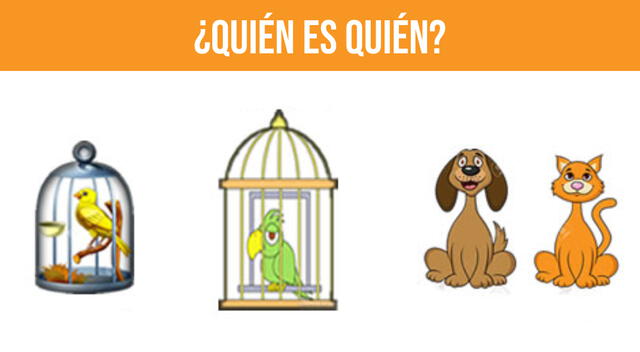 Sigue las pistas y descubre el nombre de cada uno de los animales. Sigue las pistas y descubre el nombre de cada uno de los animales.
