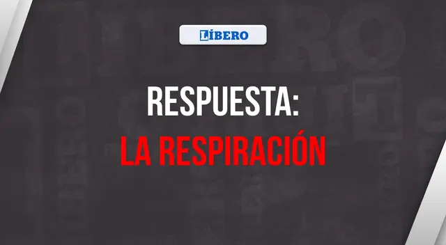 acertijo visual acertijo visual