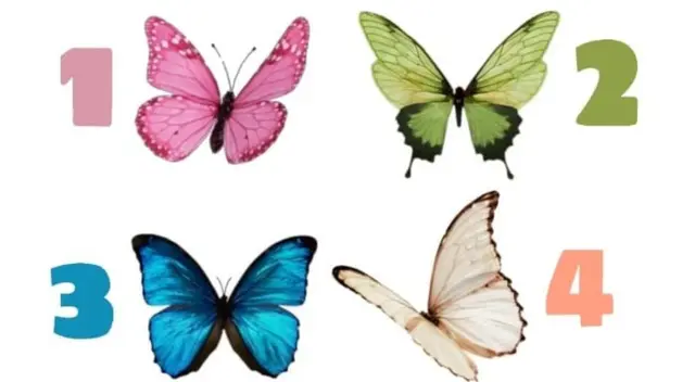 Este test te mostrará el camino correcto que deberás tomar para un mejor futuro Este test te mostrará el camino correcto que deberás tomar para un mejor futuro