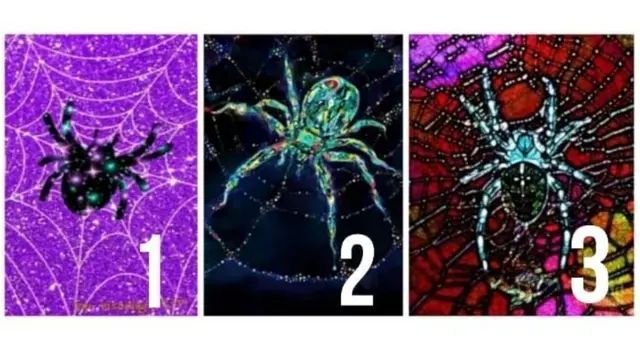 Este test de personalidad arácnido ha sorprendido a miles de usuarios en redes Este test de personalidad arácnido ha sorprendido a miles de usuarios en redes