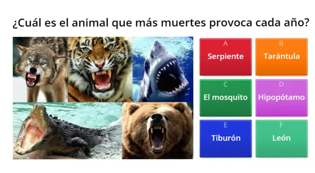 Encuentra la respuesta correcta a este enigma viral