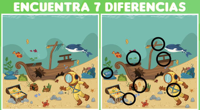 Reto visual. Reto visual.