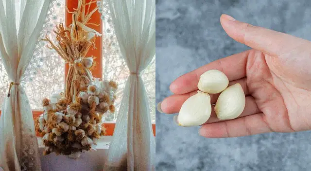 Mantén aseadas las zonas de tu hogar con este asombroso truco casero.