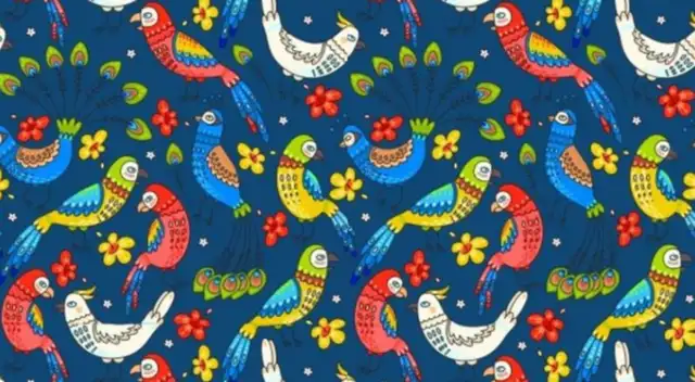 Solo GENIOS logran vencer a este reto.