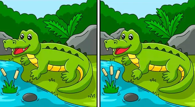 Demuestra el nivel de tu capacidad visual y logra ubicar las 8 diferencias entre los cocodrilos.