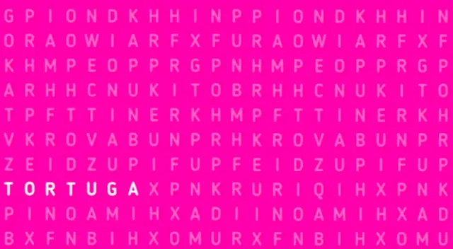 solución reto visual solución reto visual