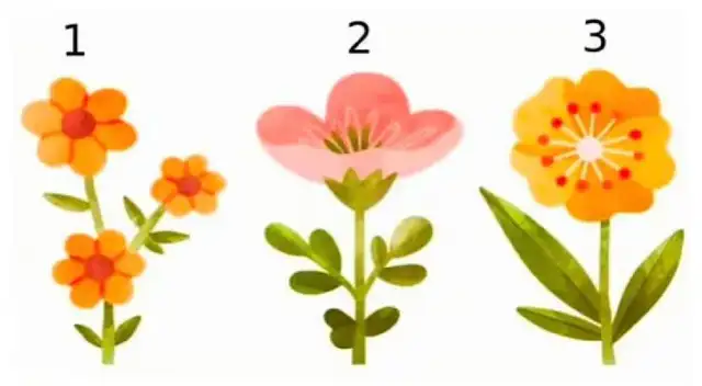 ¿Qué flor prefieres? Elige solo una e intenta saber más de ti con este test viral.