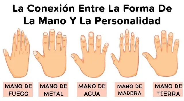Test viral: elige la mano que te represente y conoce más de ti Test viral: elige la mano que te represente y conoce más de ti