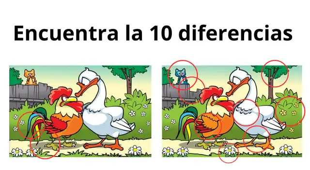 reto visual