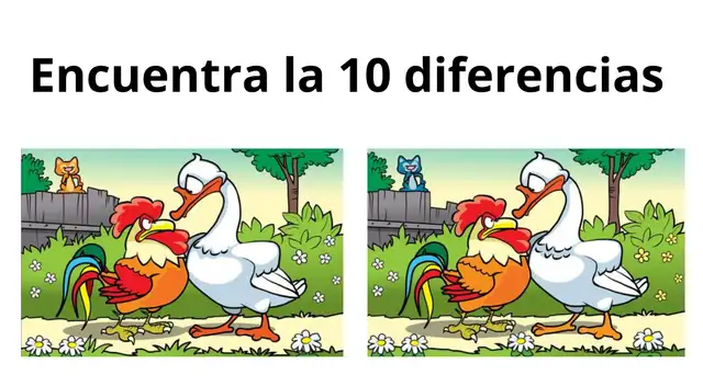 Solo alguien con una vista excepcional logra ganar a este reto.