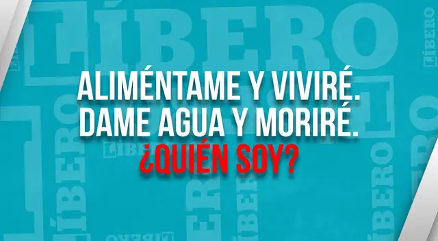 ¿Eres un genio para las adivinanzas más difíciles? Descubre la respuesta del acertijo visual.