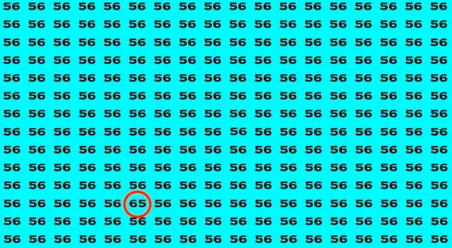 solución retos visuales