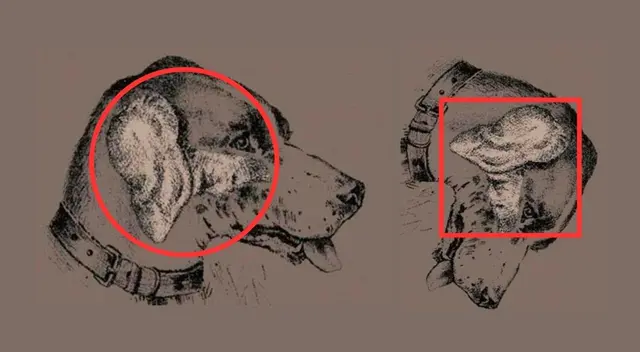 reto visual reto visual