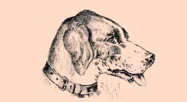 ¡Atento a todos los detalles! Solo los mejores tendrán éxito. ¡Atento a todos los detalles! Solo los mejores tendrán éxito.