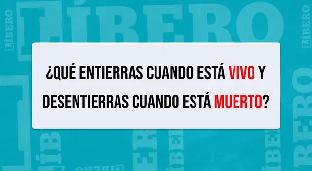 Encuentra la respuesta en tiempo récord y conságrate un genio Encuentra la respuesta en tiempo récord y conságrate un genio