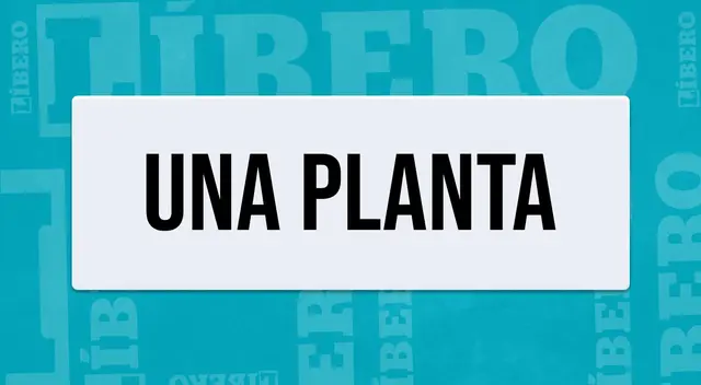 adivinanza adivinanza