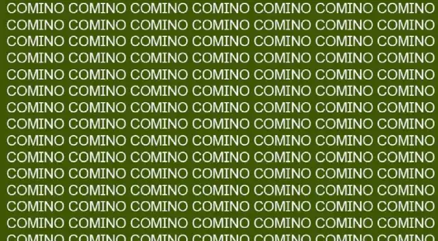 ¿Cuál es la palabra perdida en este ejercicio?