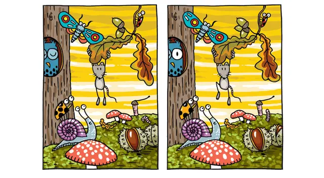 Solo alguin con una vista excelente logra vencer a este reto.