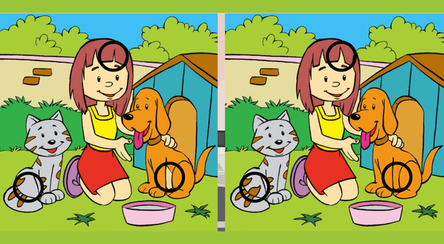 reto visual