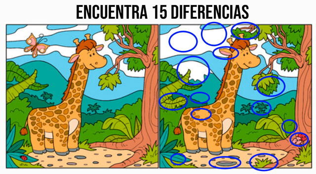 reto visual reto visual