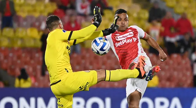 Carvallo criticó actuación arbitral en el cotejo por Copa Sudamericana.