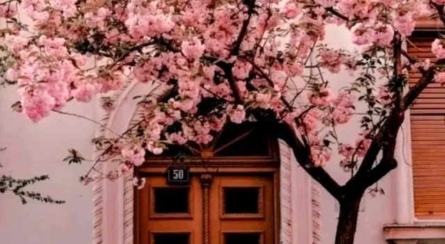 Debido a su elevado nivel, solo un reducido grupo consiguió la VICTORIA en este reto visual. Debido a su elevado nivel, solo un reducido grupo consiguió la VICTORIA en este reto visual.