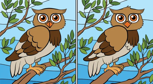 Encuentra las 12 diferencias entre los búhos de este reto visual que encantó a muchos.