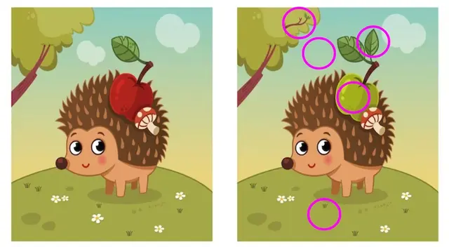 retos visuales retos visuales