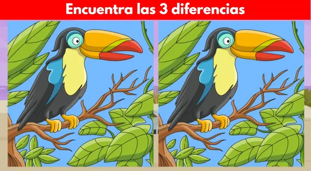 El reto visual de los tucanes