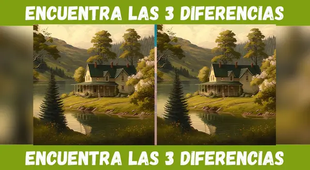 Solo un crack encontrará las tres diferencias en tiempo récord.