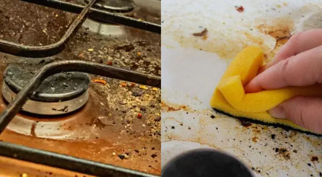 Conoce los mejores ingredientes caseros para deshacerte de la grasa. Conoce los mejores ingredientes caseros para deshacerte de la grasa.