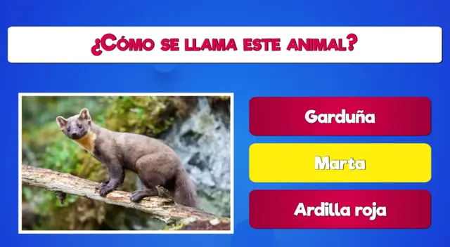 acertijos visuales