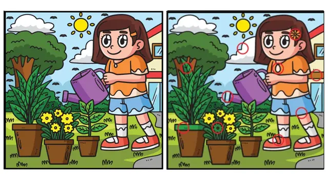 retos visuales retos visuales