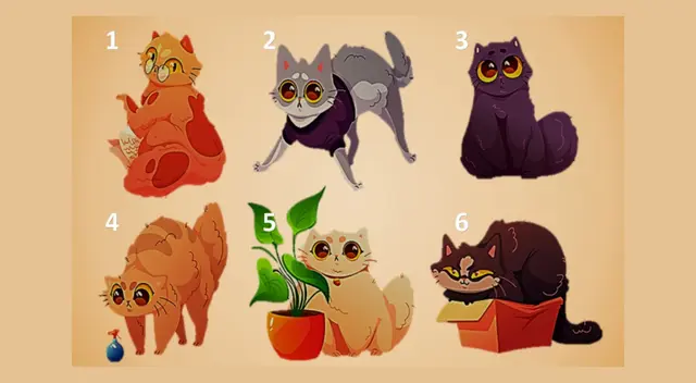 Escoge solo a un gatito y descubre los detalles ocultos de tu personalidad.