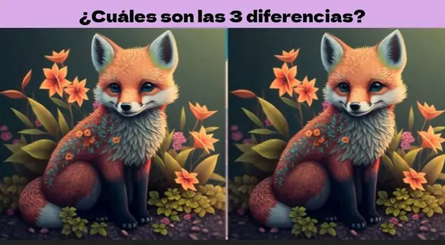 ¿Cuáles son las 3 diferencias del reto? Analiza y vence este reto ¿Cuáles son las 3 diferencias del reto? Analiza y vence este reto