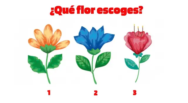 Una flor del test de personalidad te ayudará a conocer aspectos importantes de ti.