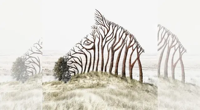 Te quedarás sorprendido con los resultados emitidos por este ejercicio mental.