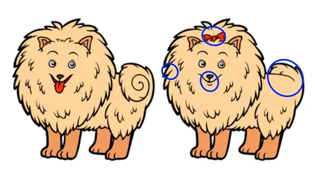 reto visual reto visual