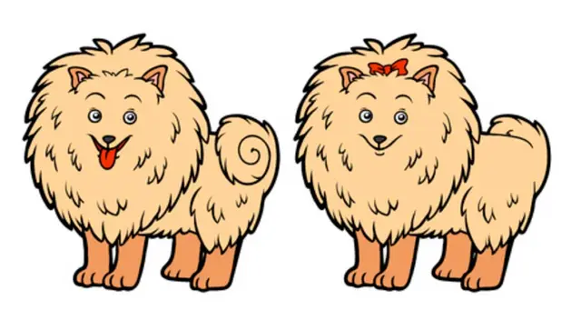 reto mental reto mental