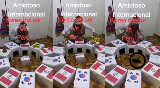 El cuy Renato brinda predicciones muy acertadas cuando juega Perú. El cuy Renato brinda predicciones muy acertadas cuando juega Perú.