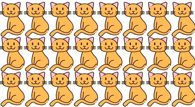 Debido a su tierno aspecto, miles de usuarios creyeron que este reto visual iba ser sencillo de superar.