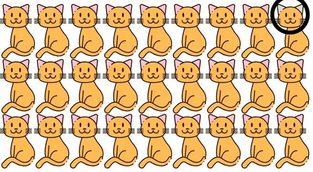 solución retos visuales