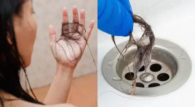 Conoce el truco para sacar el cabello acumulado en el desagüe de tu ducha. Conoce el truco para sacar el cabello acumulado en el desagüe de tu ducha.