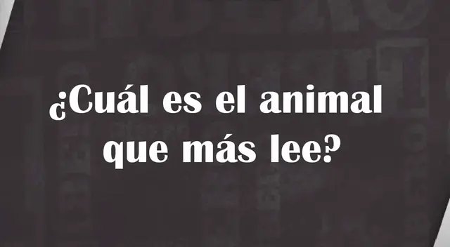 Desafortunadamente, no podemos darte ninguna pista para que superes este acertijo visual.