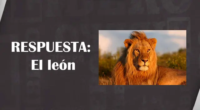 solución acertijo visual