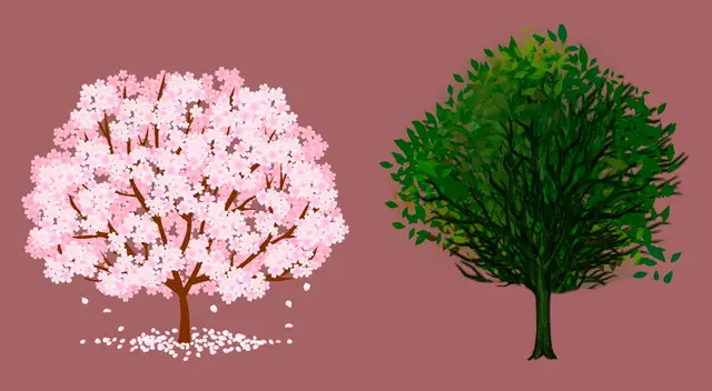 Cuéntanos cuál de los dos árboles llamó tu atención y te diremos cómo eres en realidad. Cuéntanos cuál de los dos árboles llamó tu atención y te diremos cómo eres en realidad.