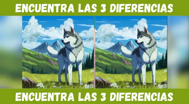 Ubica las tres diferencias en la imagen en cuestión de segundos.