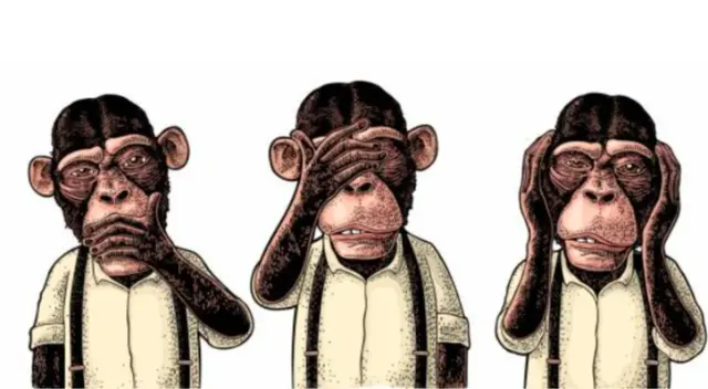 Escoge al mono que más llame tu atención.