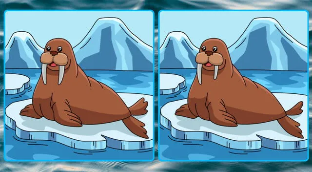 Solo el 4% de los internautas logró resolver el ejercicio visual que ha dado la vuelta al mundo. Solo el 4% de los internautas logró resolver el ejercicio visual que ha dado la vuelta al mundo.